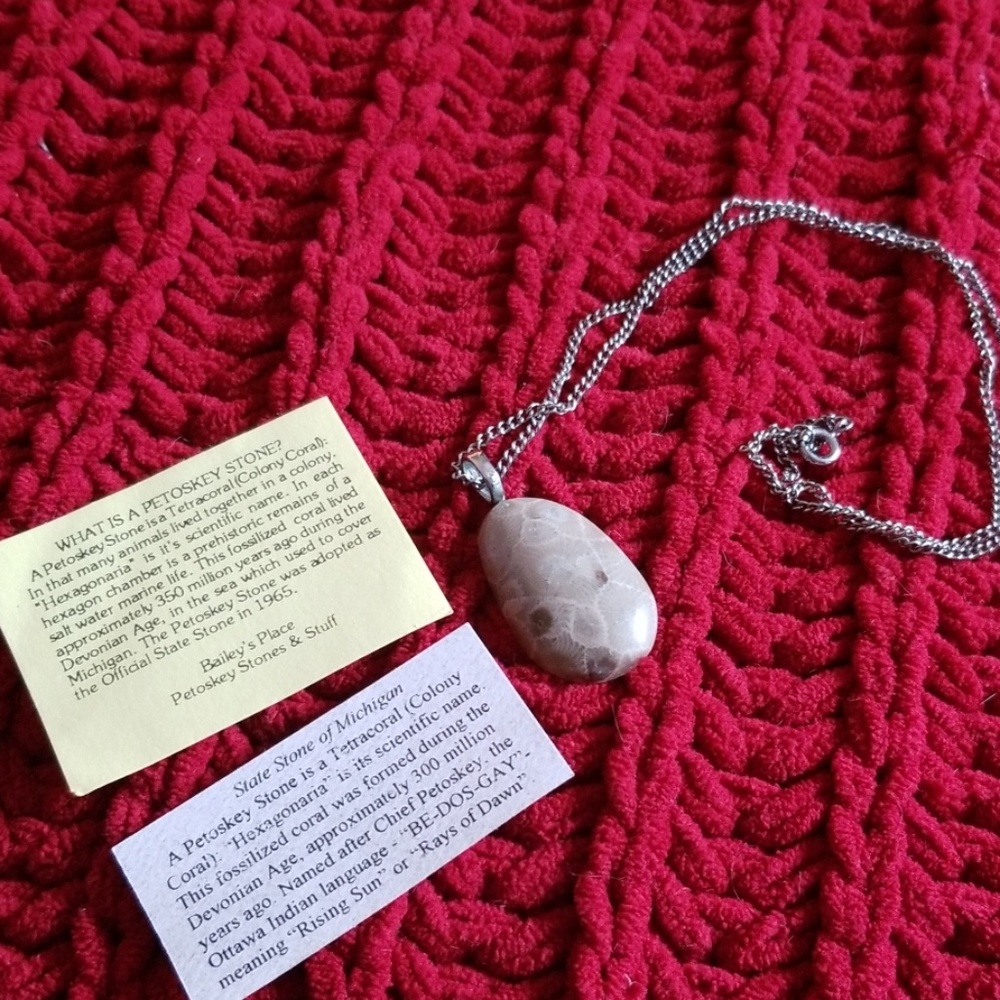 Petoskey Stone Necklace
